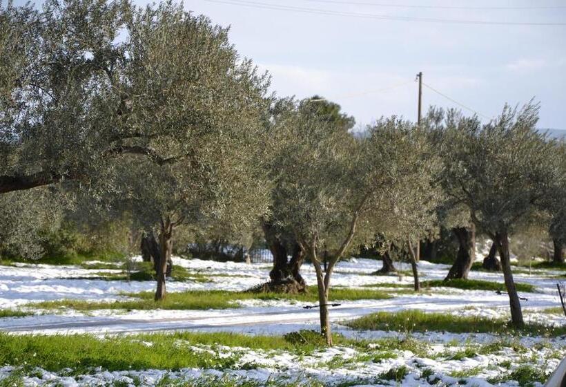 בית מלון כפרי Terre Di Senia