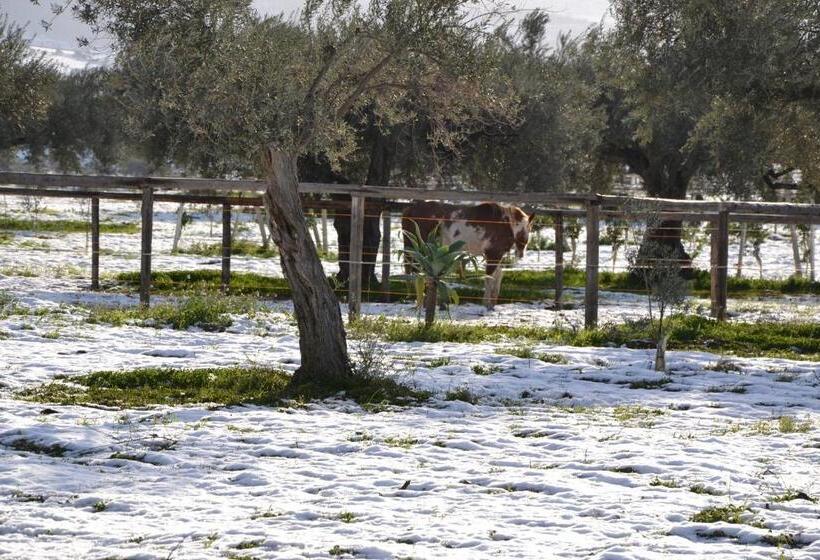 בית מלון כפרי Terre Di Senia