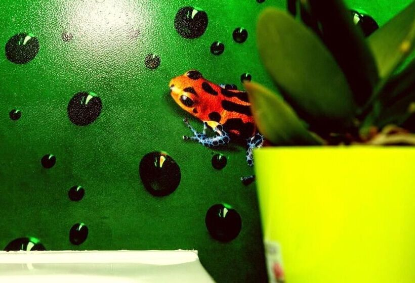 پانسیون Pavia Affittacamere