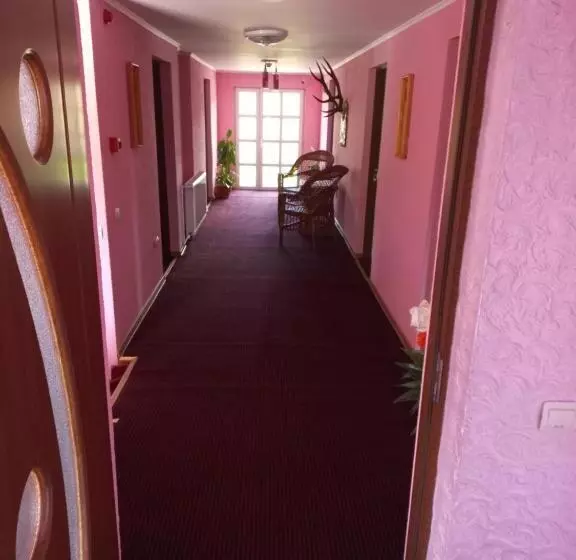 Pensiunea Floare De Bucovina