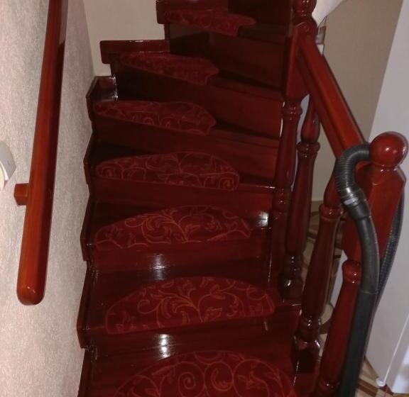 Pensiunea Floare De Bucovina