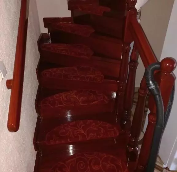 Pensiunea Floare De Bucovina