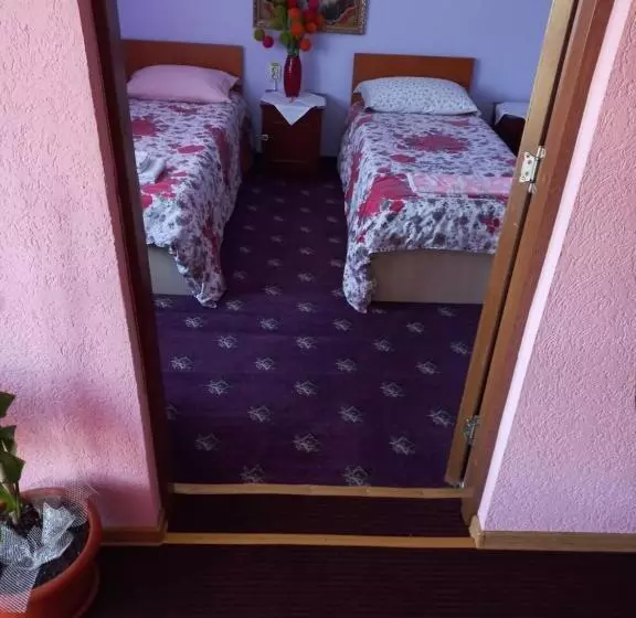 Pensiunea Floare De Bucovina