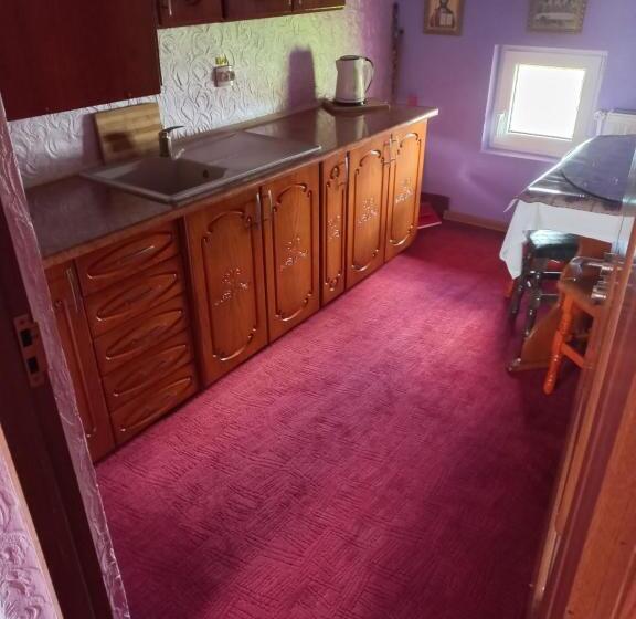 Pensiunea Floare De Bucovina