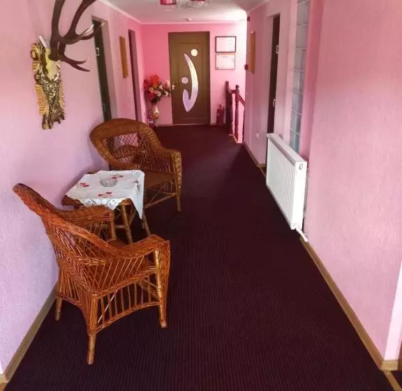 Pensiunea Floare De Bucovina