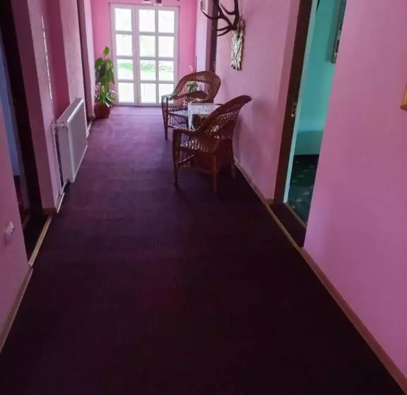 Pensiunea Floare De Bucovina