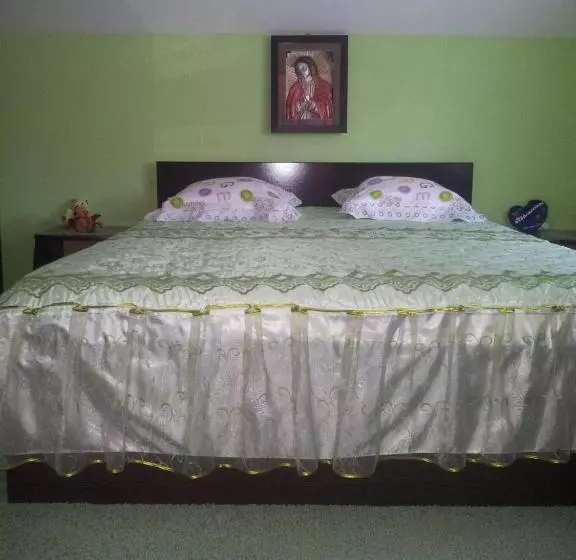 Pensiunea Floare De Bucovina