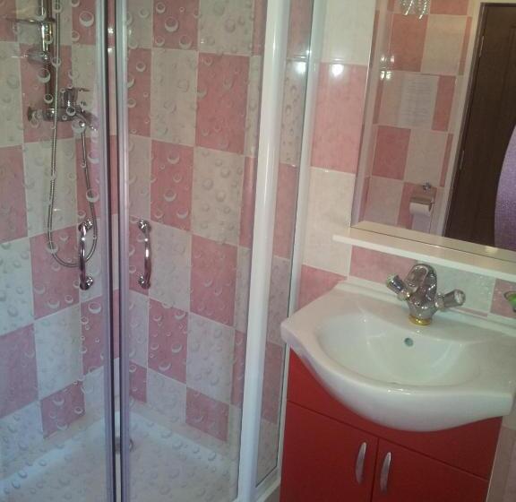 Pensiunea Floare De Bucovina