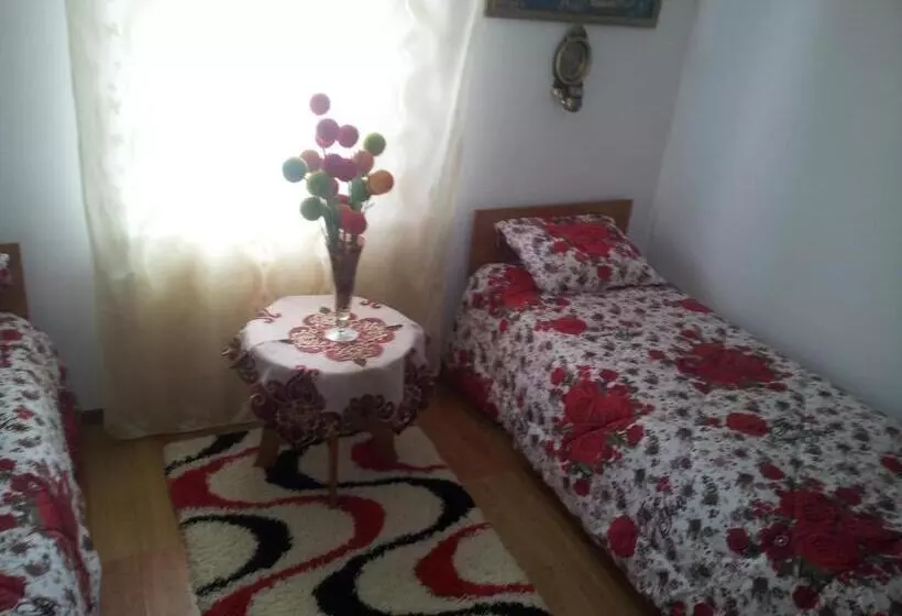 Pensiunea Floare De Bucovina