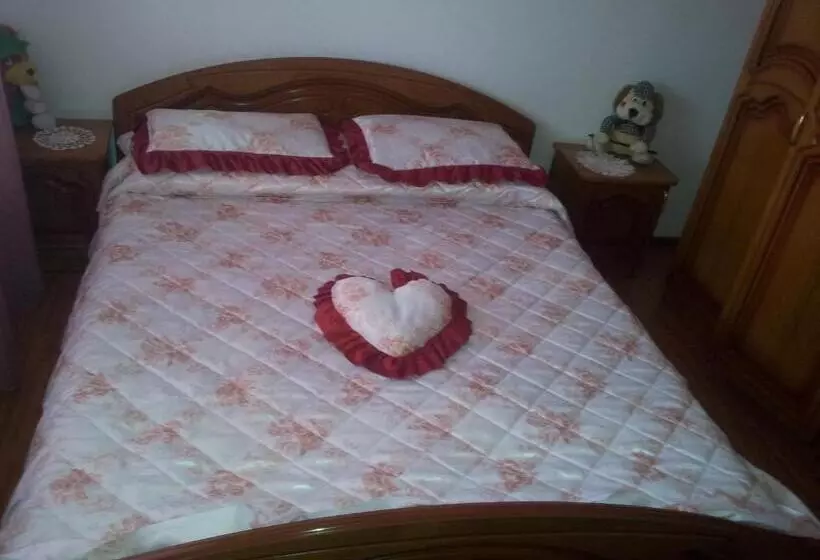 Pensiunea Floare De Bucovina