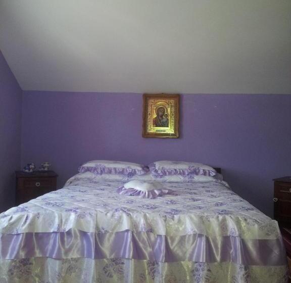 Pensiunea Floare De Bucovina