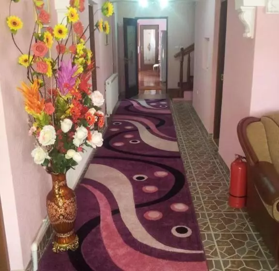 Pensiunea Floare De Bucovina