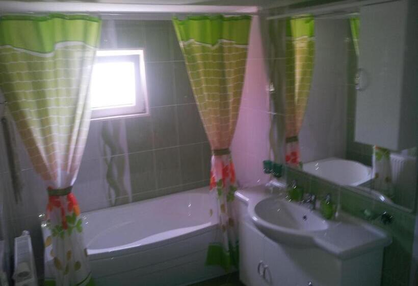 Pensiunea Floare De Bucovina