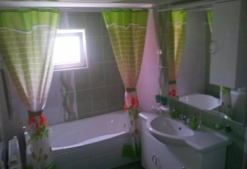 Pensiunea Floare De Bucovina