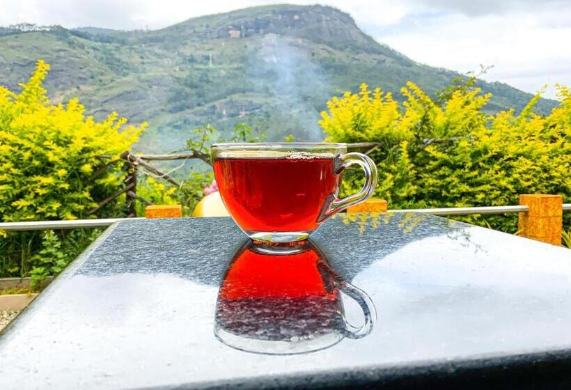 منتجع Castillo De Woods