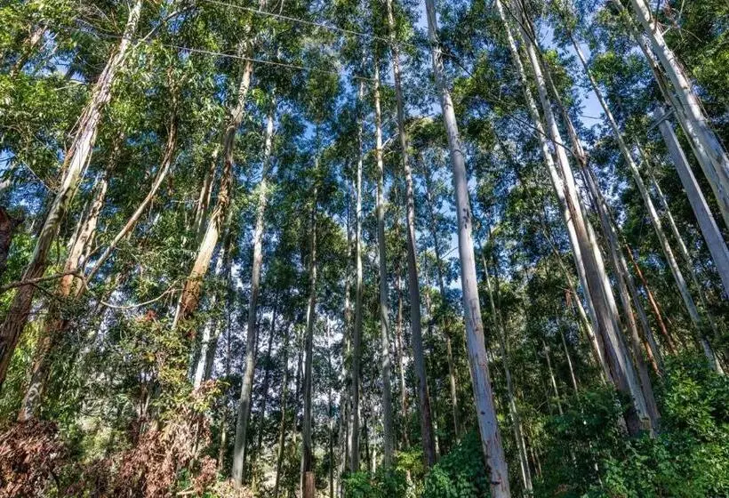 Lomakeskus Castillo De Woods