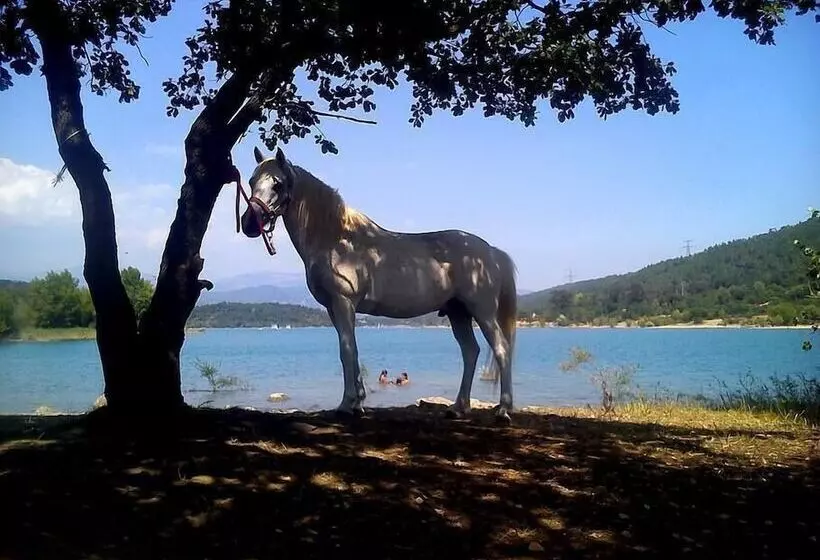 ベッドアンドブレックファースト Les Gites Du Lac   Chambre D Hotes