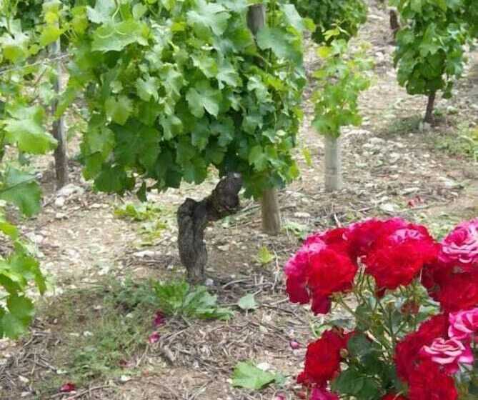 צימר Les Insolites De La Pouillyzotte