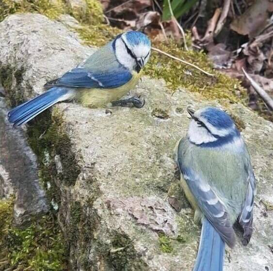 צימר Les Insolites De La Pouillyzotte