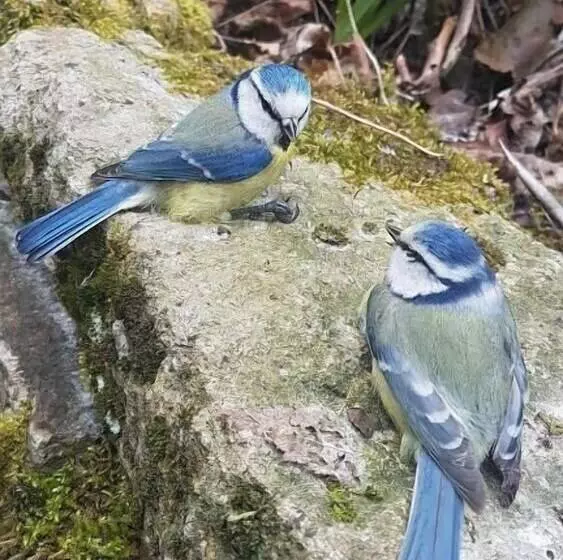 Aamiaismajoitus (B&B) Les Insolites De La Pouillyzotte