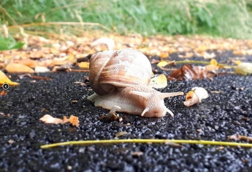צימר Les Insolites De La Pouillyzotte