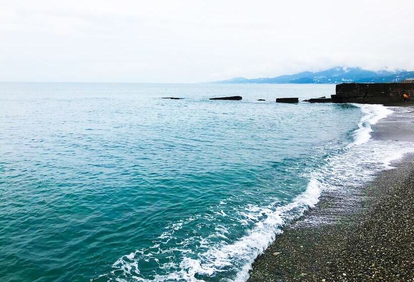 Hostel Terminal Adler