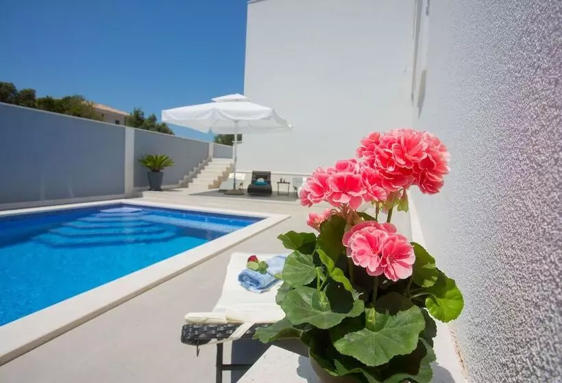 Hotel Paradise Punta