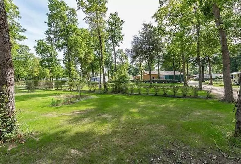 Hotelli Camping La Cailletiere   Mobil Home