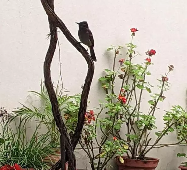 ホテル Kanchan Dehradun