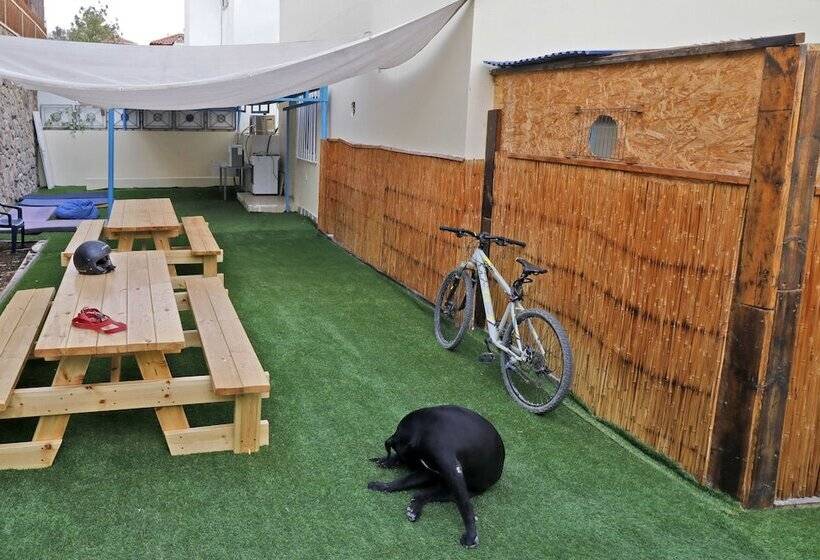Palma Diving Resort   Hostel