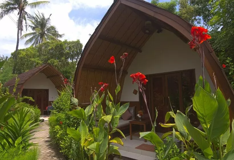 پانسیون Chill Out Bungalows