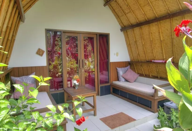پانسیون Chill Out Bungalows
