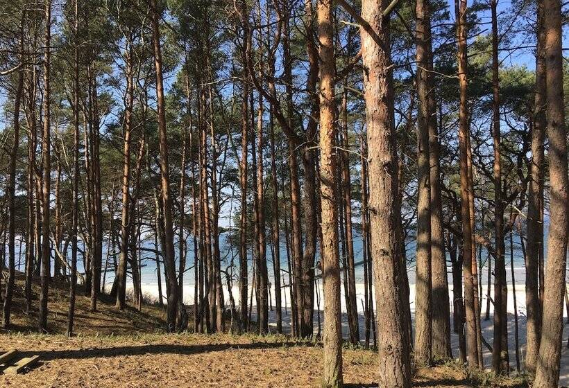 پانسیون Magnolia Guest House