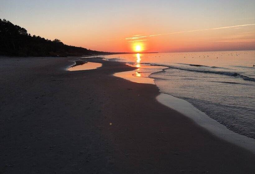 پانسیون Magnolia Guest House