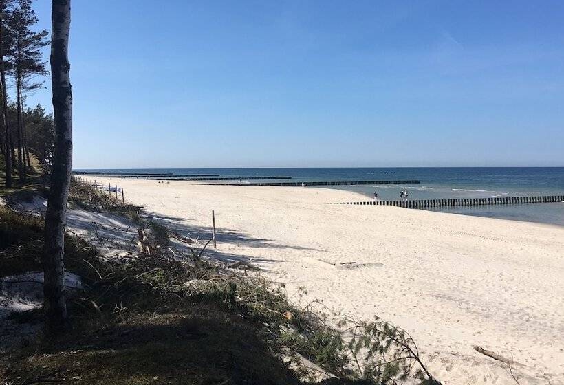 پانسیون Magnolia Guest House