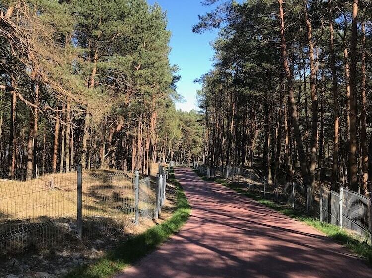 پانسیون Magnolia Guest House