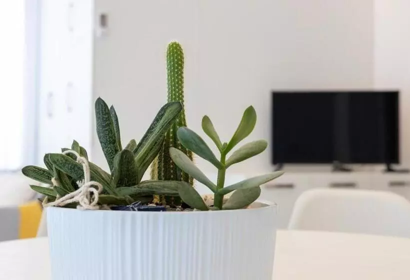 پانسیون Mary Vi Rooms