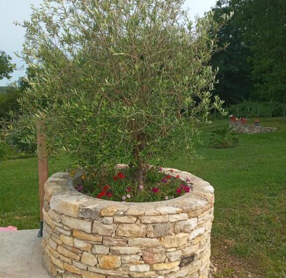 ペンション Nid Douillet A La Campagne