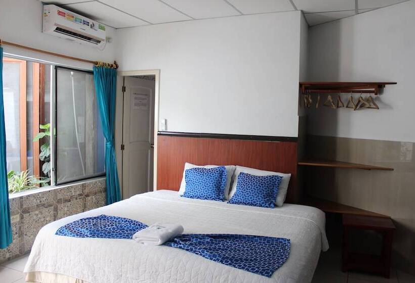 여관 La Gran Tortuga   ᯤ Starlink