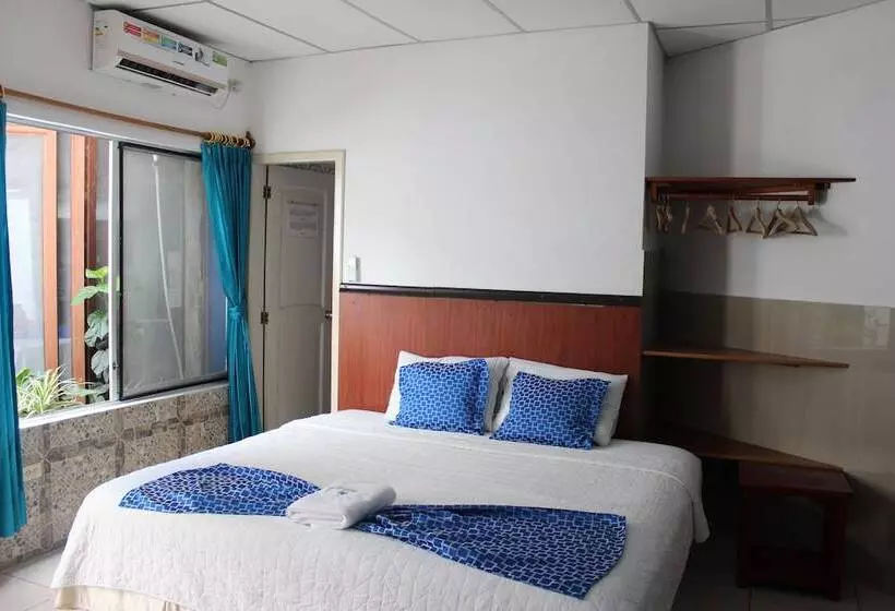 簡易ホテル La Gran Tortuga ᯤ Starlink