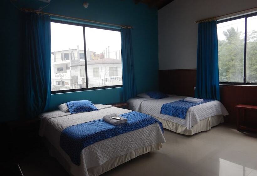 여관 La Gran Tortuga   ᯤ Starlink