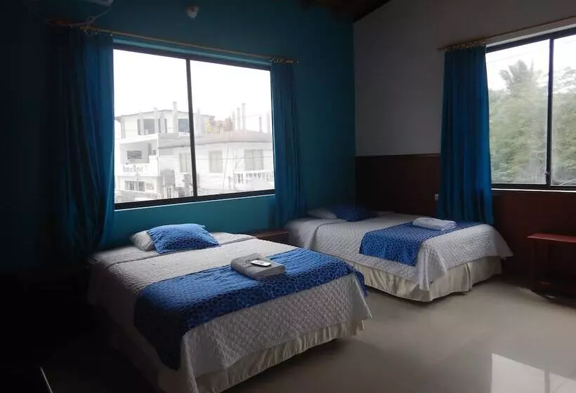 簡易ホテル La Gran Tortuga ᯤ Starlink