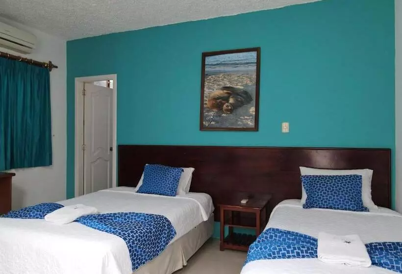 簡易ホテル La Gran Tortuga ᯤ Starlink