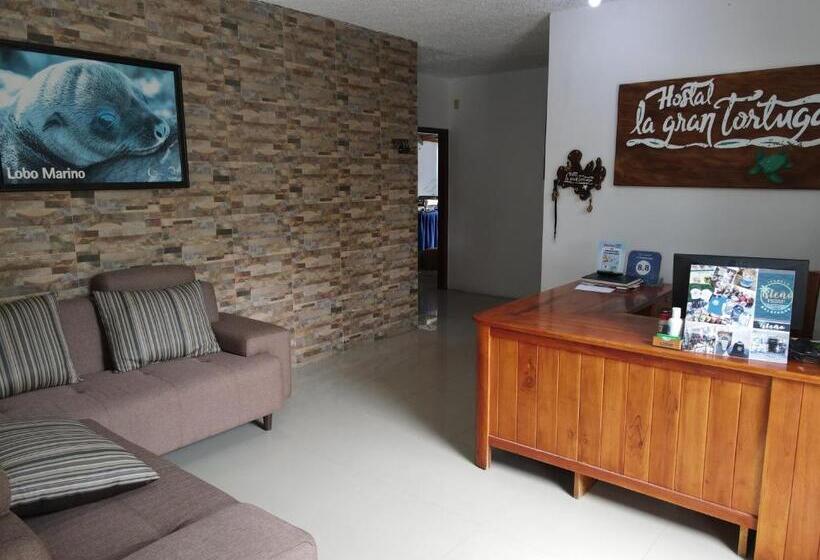 여관 La Gran Tortuga   ᯤ Starlink