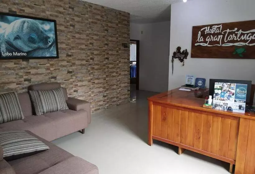 簡易ホテル La Gran Tortuga ᯤ Starlink