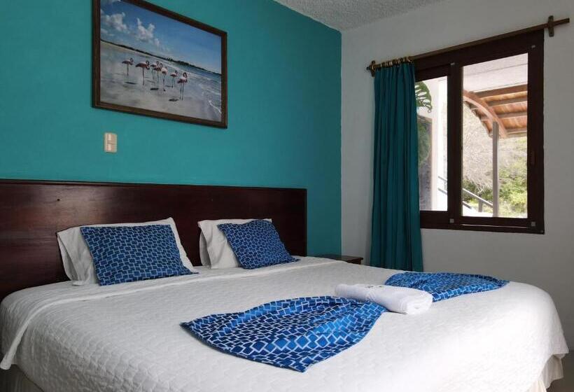 여관 La Gran Tortuga   ᯤ Starlink