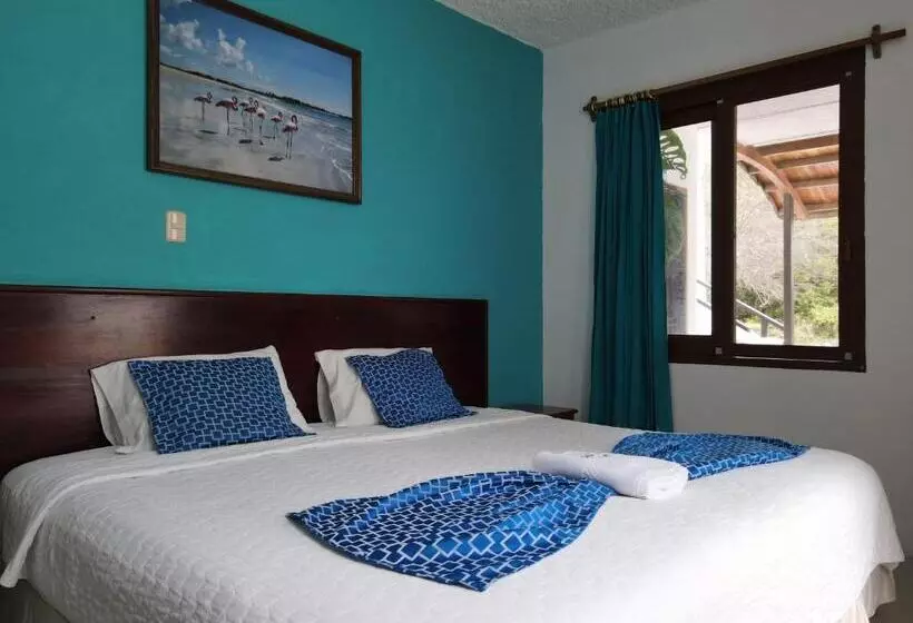 簡易ホテル La Gran Tortuga ᯤ Starlink