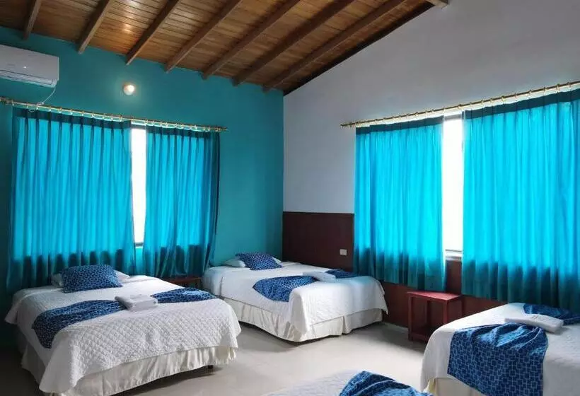 簡易ホテル La Gran Tortuga ᯤ Starlink