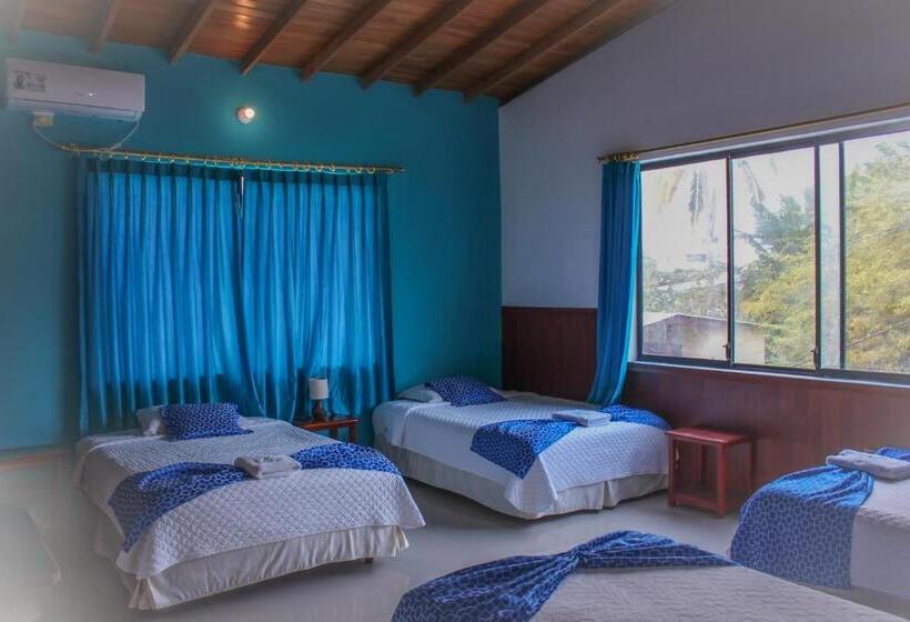 여관 La Gran Tortuga   ᯤ Starlink