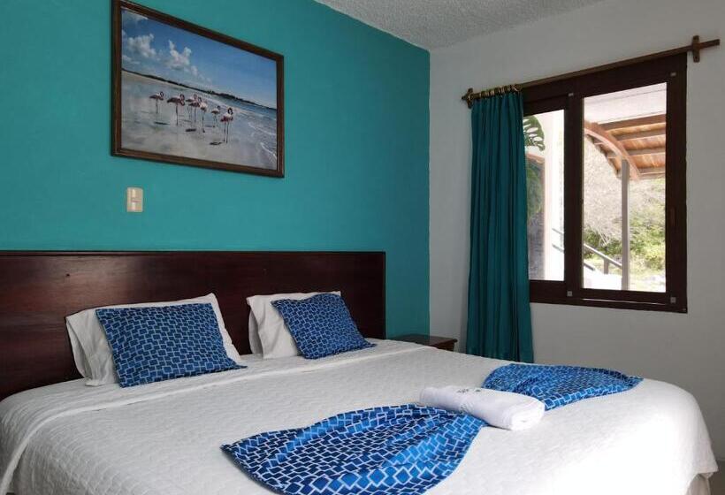 여관 La Gran Tortuga   ᯤ Starlink